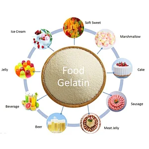 Wholesale Bulk Food Grade 120-280 Bloom Beef Halal Food Gelatin Powder Gelatin
